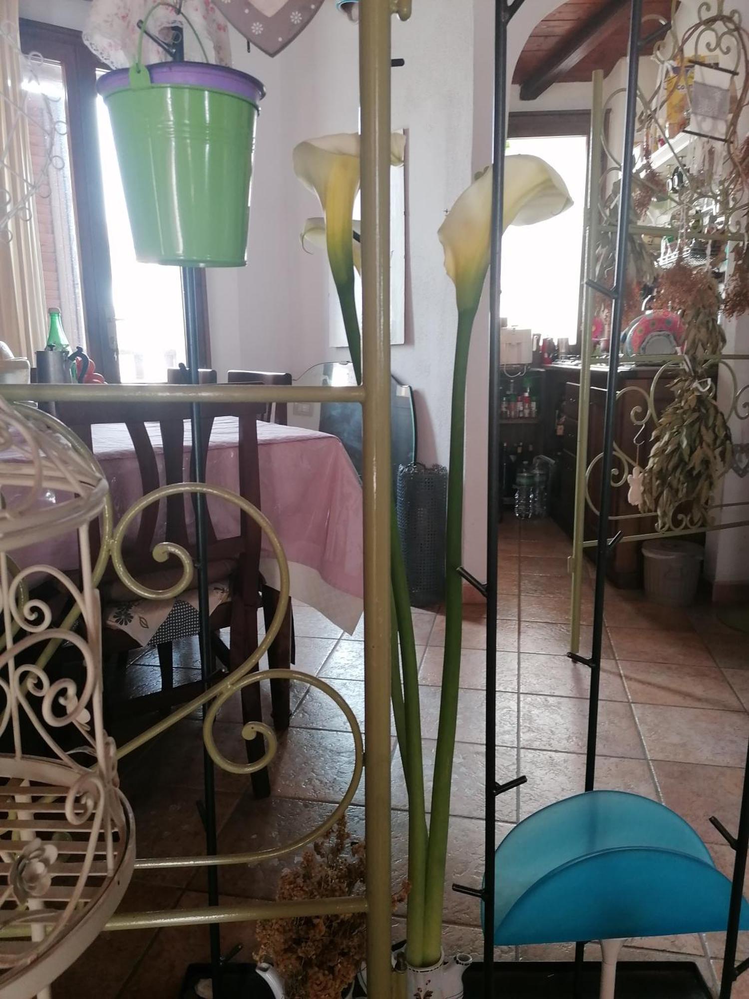 B&B Casacori Orosei Dış mekan fotoğraf