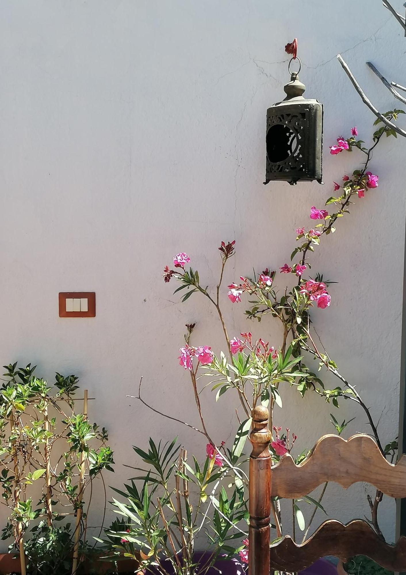 B&B Casacori Orosei Dış mekan fotoğraf