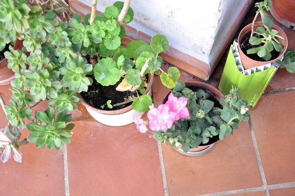 B&B Casacori Orosei Dış mekan fotoğraf