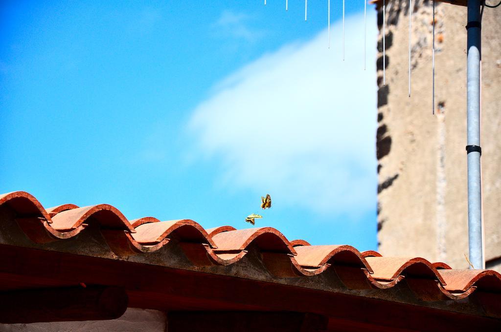 B&B Casacori Orosei Dış mekan fotoğraf