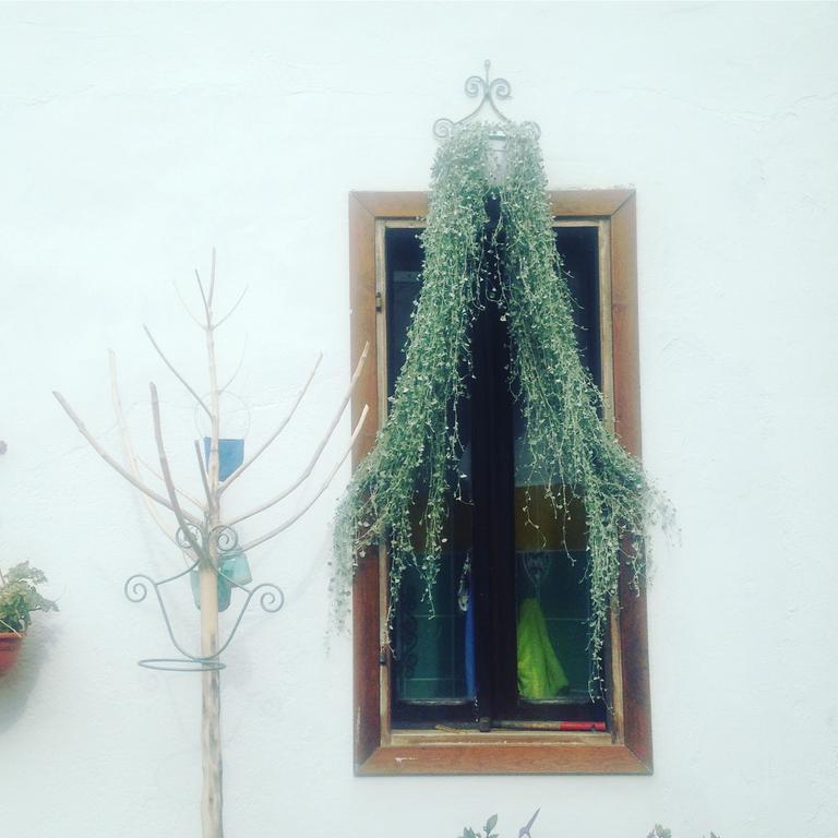 B&B Casacori Orosei Dış mekan fotoğraf